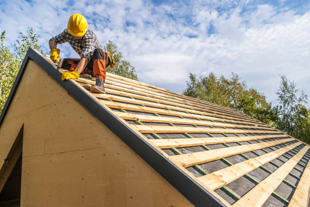 Best Roof Gutter Cleaning  in Black Mountain, NC